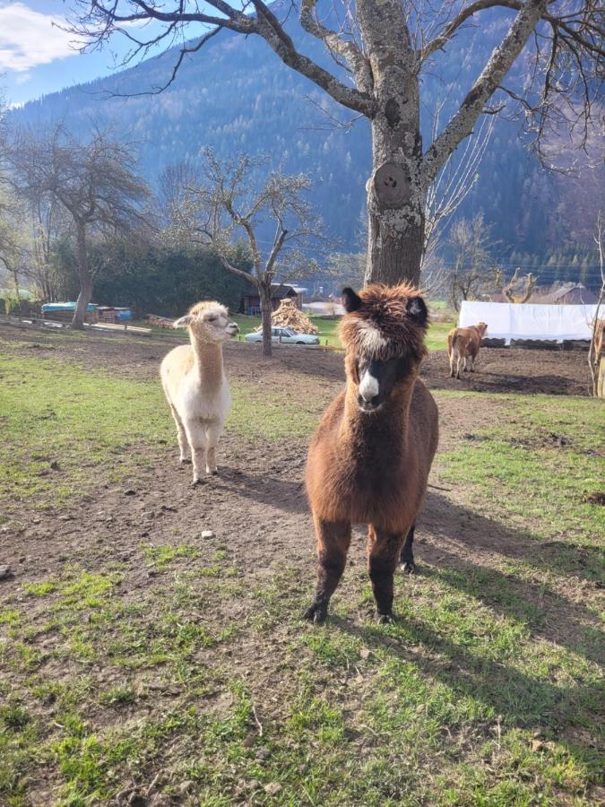 Ferienwohnung Biohof Untermar Obervellach Eksteriør bilde