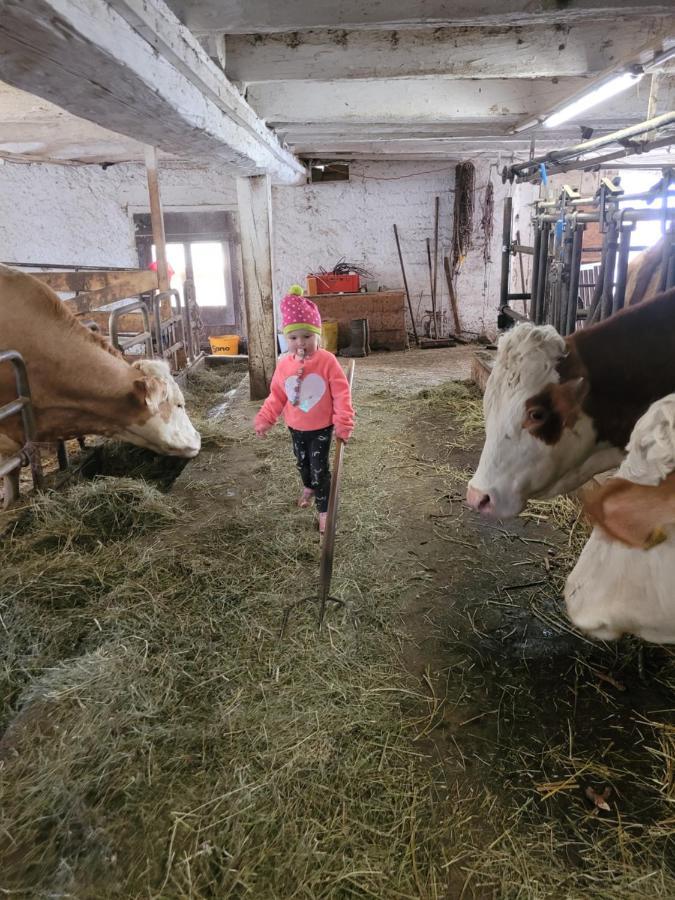 Ferienwohnung Biohof Untermar Obervellach Eksteriør bilde